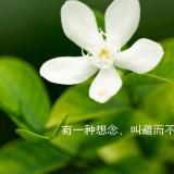 Scorpio*远山如黛