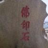 王的领域