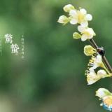 九侯门第