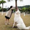 ヤ筱鸣思语＞