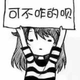 金冠小熊猫