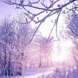 倥侗？荏苒的时间