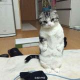 书友47621