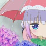 风雨无阻灬