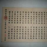 大漢水師大都督