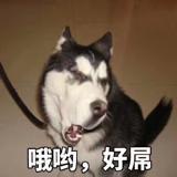 空城旧梦