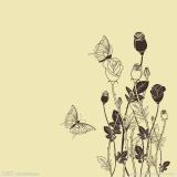 桐花惜落遇蝴蝶