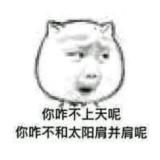 有缘无份