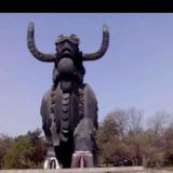 申玉东