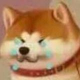 堕落的天使