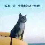 春风化雨