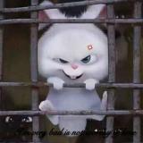 ゛Ｌi小壞.
