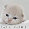 不懂悲伤的微笑
