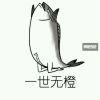 会？会！
