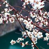 王海之婕