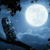 Blue moonbeam