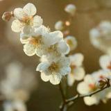 武威鑫西兰物流