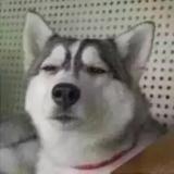 荀彧