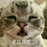 尘念凡