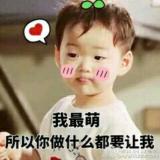 叶子