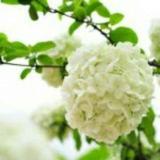 悠悠我心