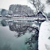 日本省靖国神厕蹲坑的