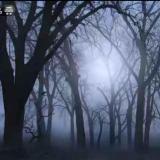 “夜” 奈何