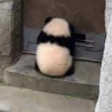 无限灬循环