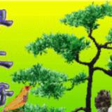 永远爱你
