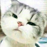 十八里铺小学第一喷子