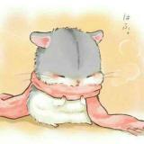 炎焱琰