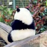 理想很丰满，现实太骨感