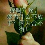书友41417