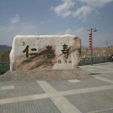 Mr.陈