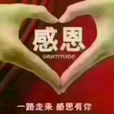 老杨哥