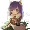 せ秋日白狐