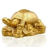 万年乌龟千年坑