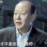 水木森淼