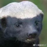 逝去的回忆