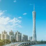 小白变老白