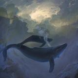 深海的塞壬之声