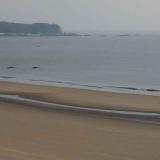 陈杆