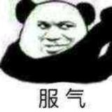 书友22545