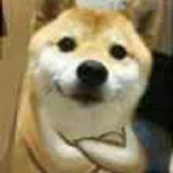 嗯哼猫喵