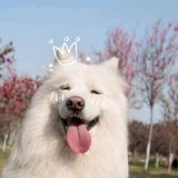 yyyyyyy