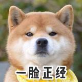 桃花贪睡