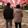 子曰:晚上不睡，下午崩溃