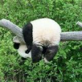 一个冬天胖八斤