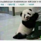 我为影踪派卖过命 我要见祝掌门