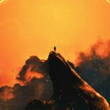 大哥取个名好难